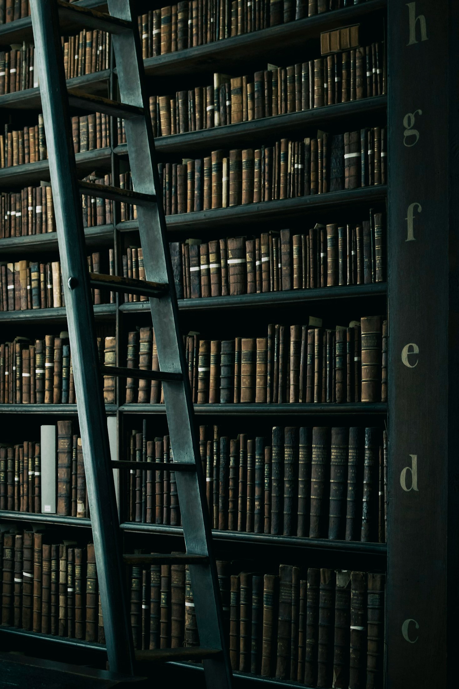 Význam literárních anotací pro čtenářský zážitek